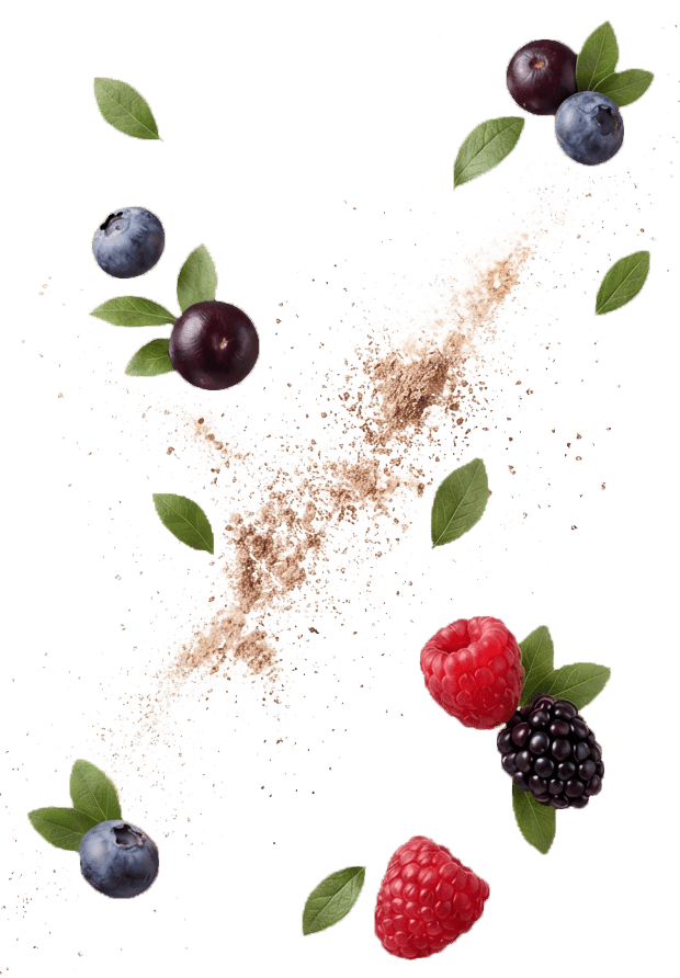 Açaí + Mixed Berries ingredients