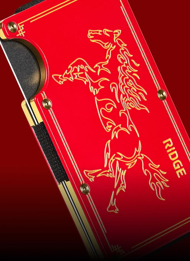 YEAR OF THE FIRE HORSE