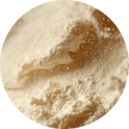 Premium Whey Protein