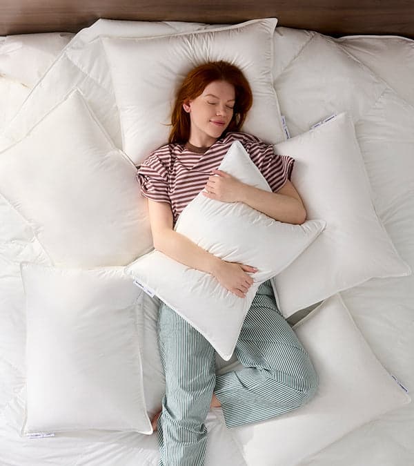 Duvet insert and pillows
