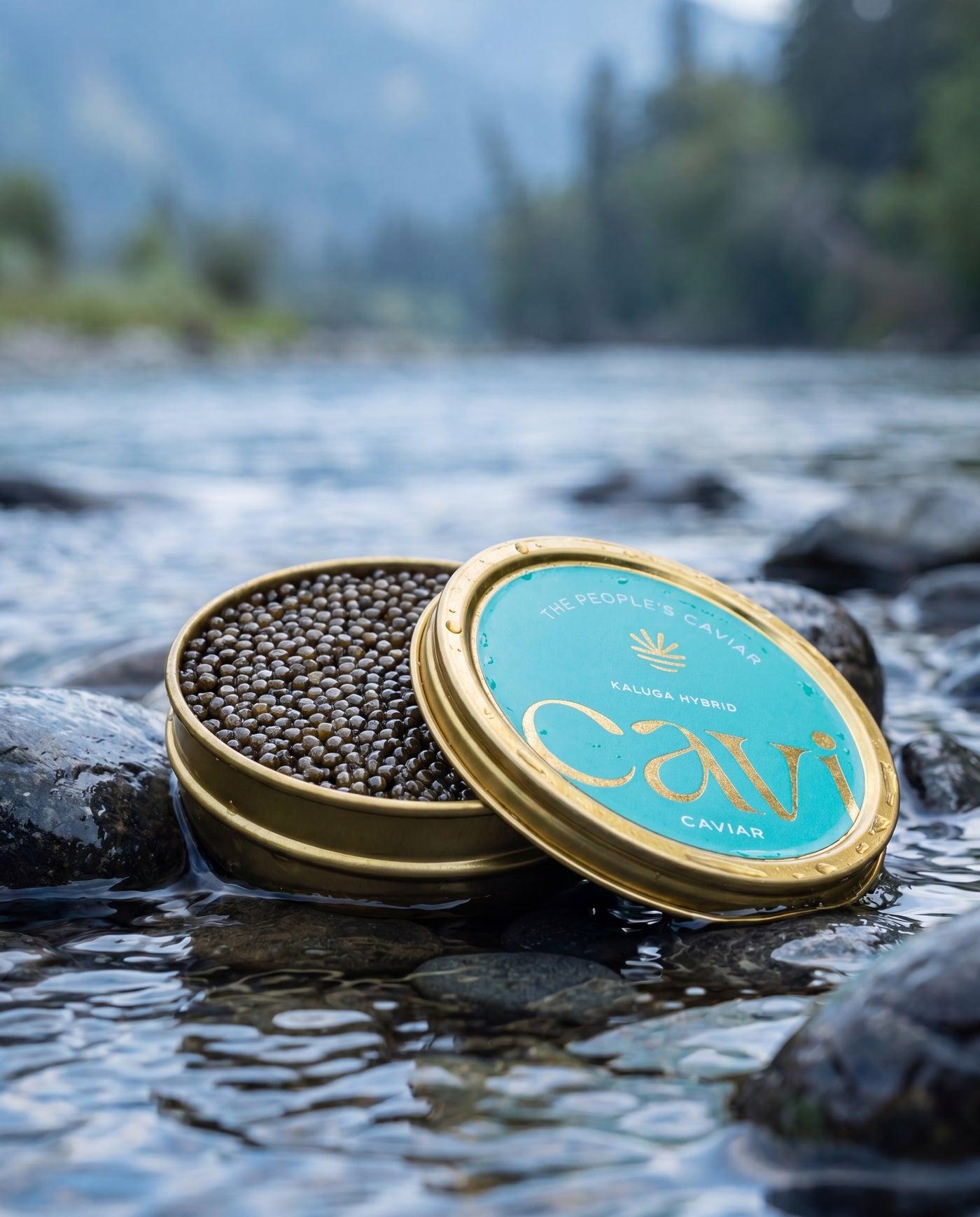 An open tin of CAVI Kaluga Hybrid on river stones