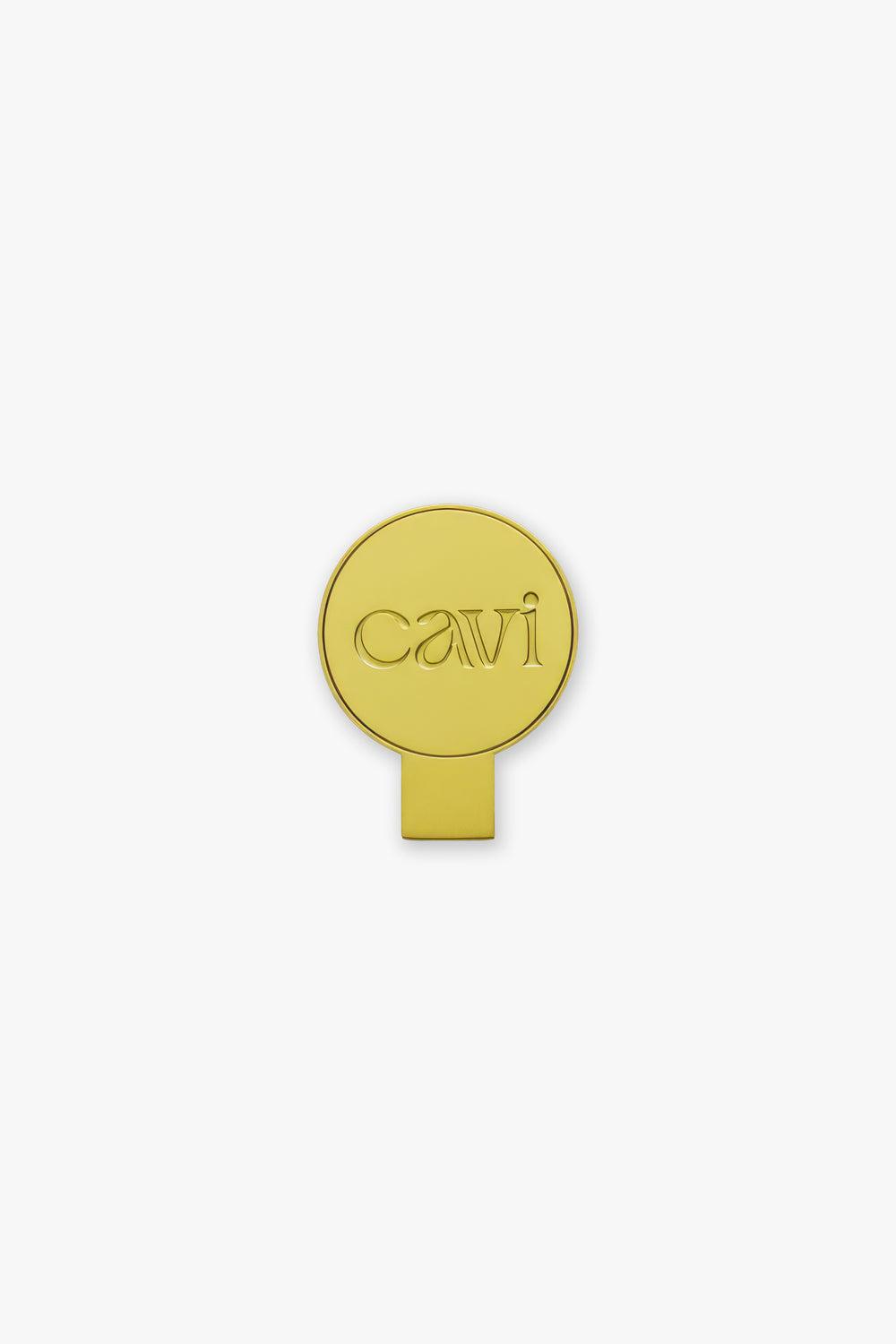 Gold CAVI tin opener key