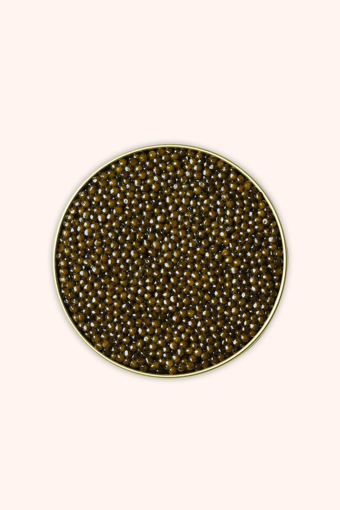 The same tin opened, full of Kaluga Hybrid caviar