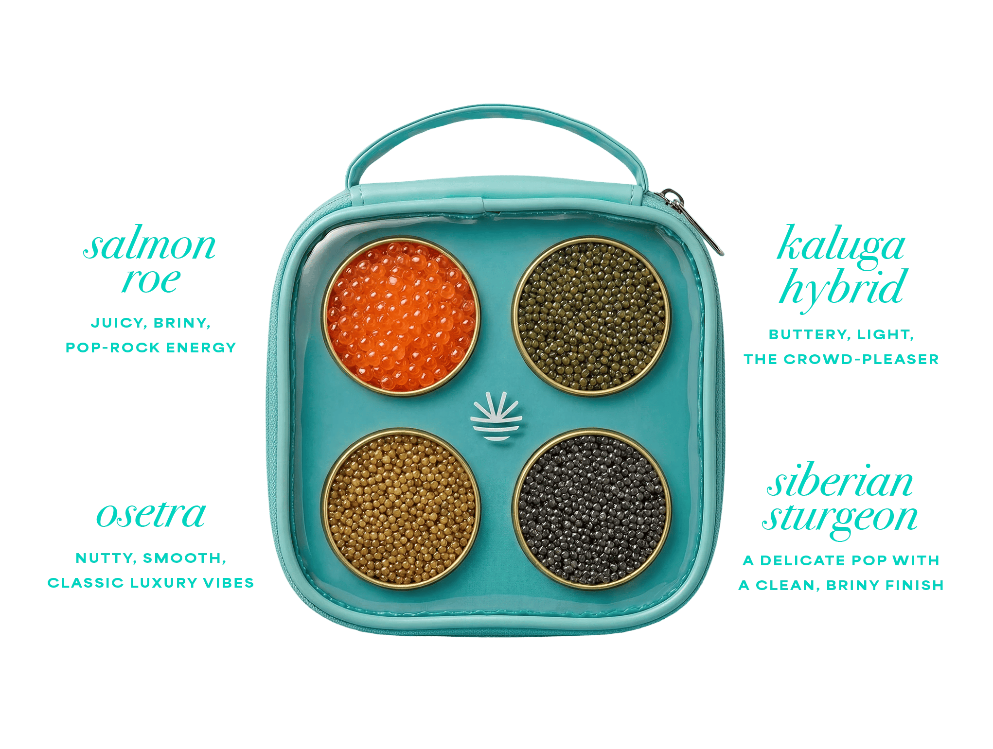 CAVI Beginner Tasting Kit, open, with four tins of caviar