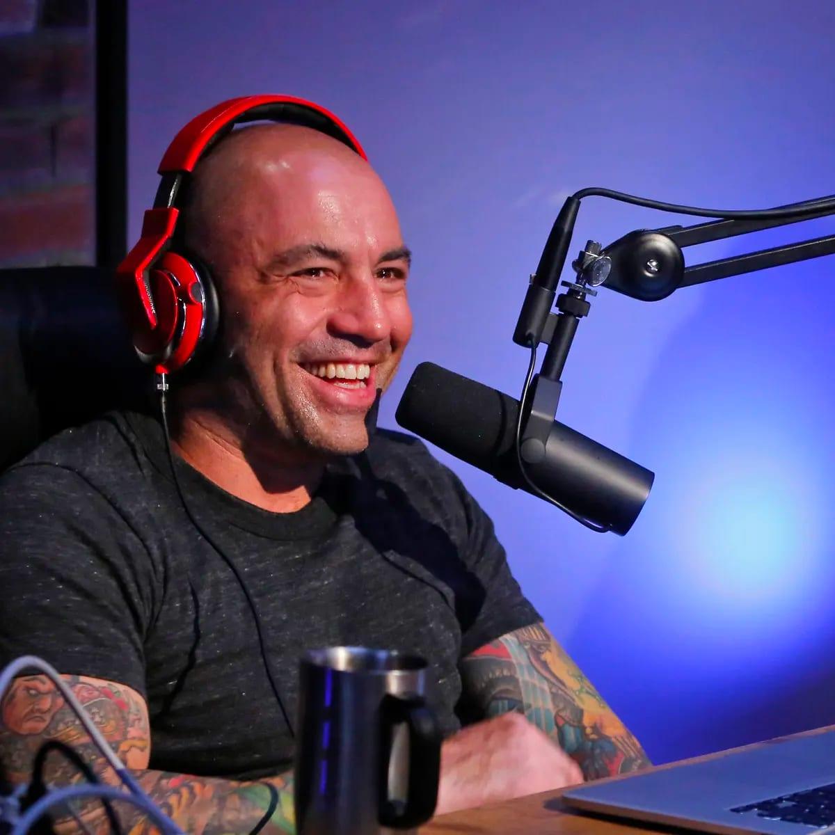 Joe Rogan portrait