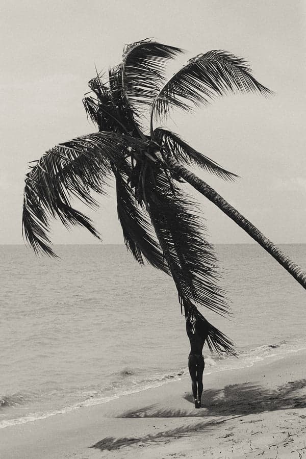 Tropicana