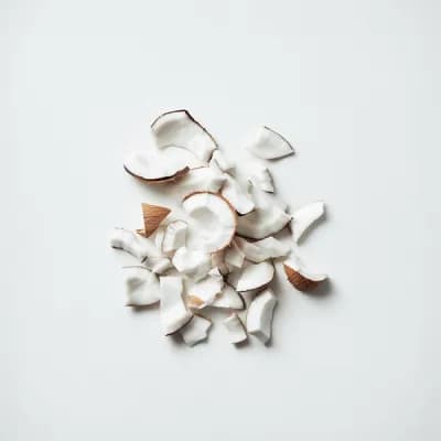 Pieces of coconut