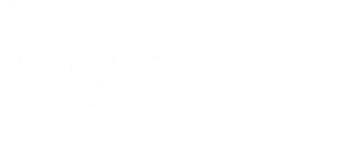 Vox logo
