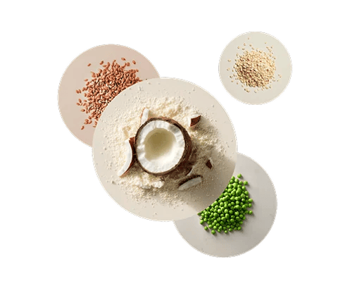 Image containing a number of raw Huel ingredients including coconut, pea protein, and oats