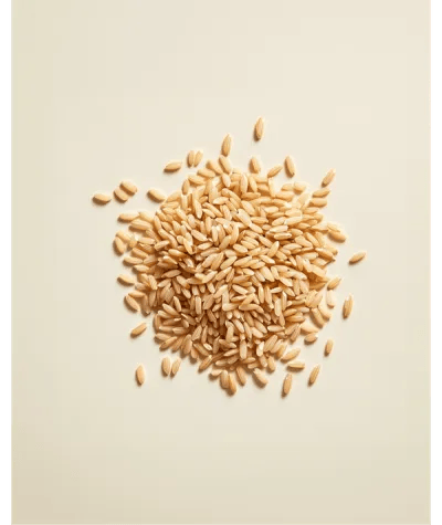 Brown Rice Protein