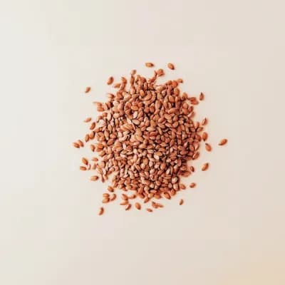 Flaxseed