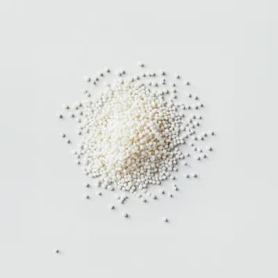 Tapioca