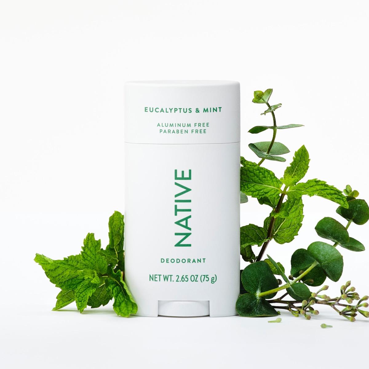 Deodorant Stick Eucalyptus & Mint / Classic / 2.65oz image