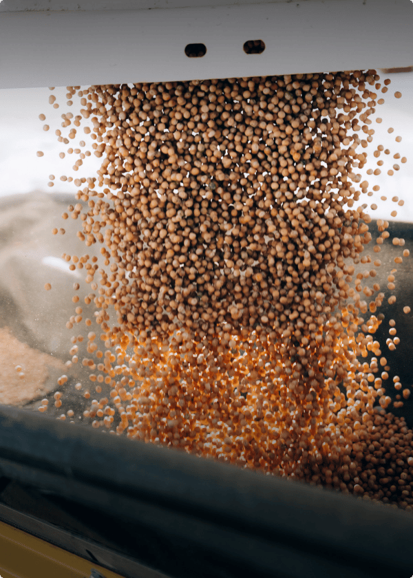 How AG1 Sources Pea Protein