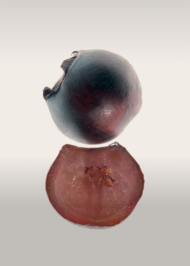 BILBERRY
