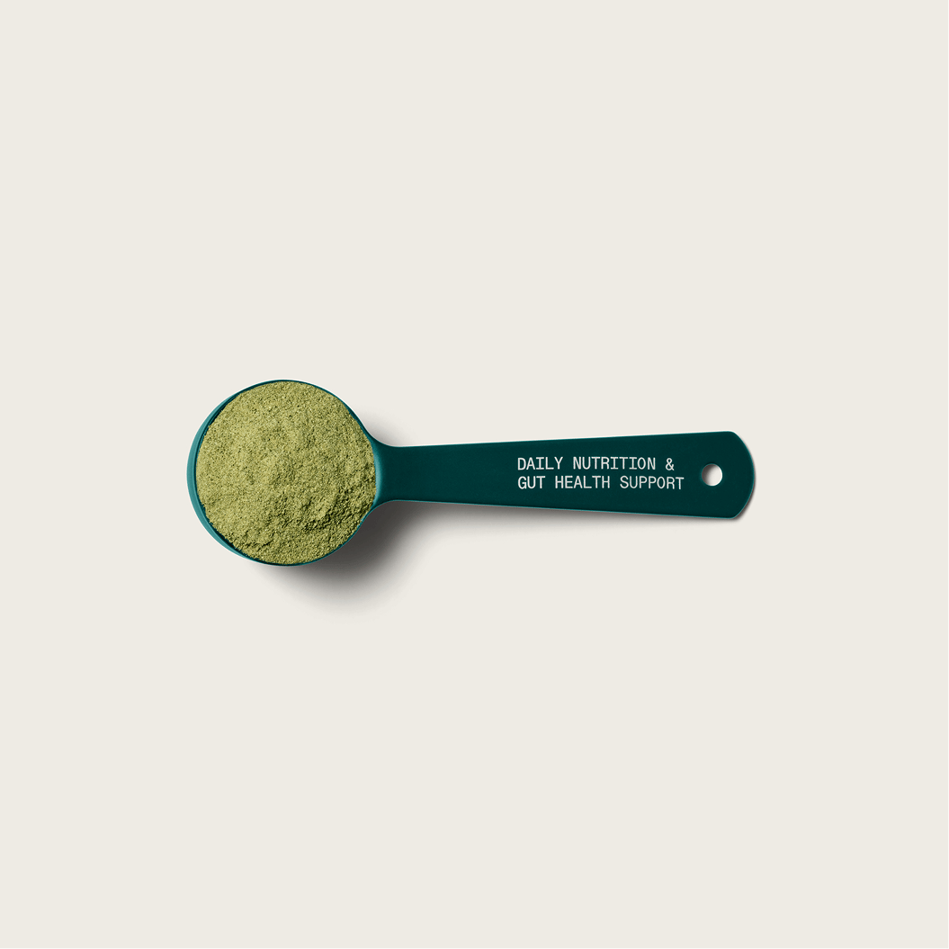 A scoop of AG1 Next Gen powder