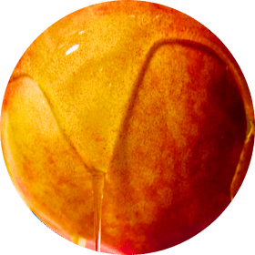 Peach Persimmon Swatch
