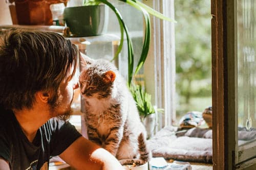 Why Indoor Air Quality Is Important for Pet Owners