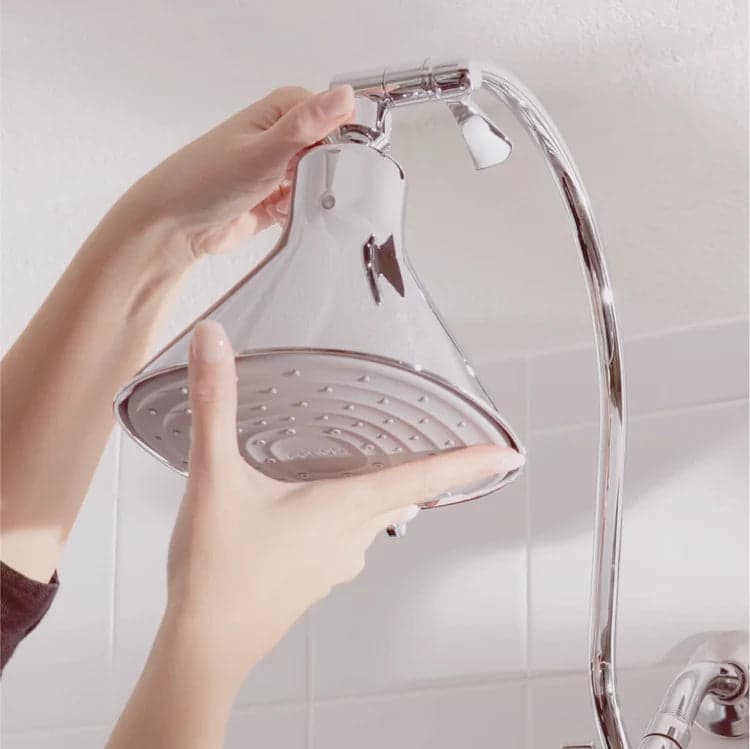 Filtered Showerhead