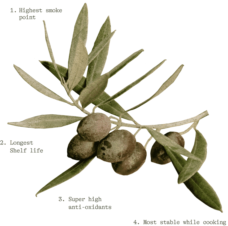 An olive branch annotated with the four things the right varietal delivers: 1. Highest smoke point, 2. Longest shelf life, 3. Super high anti-oxidants, 4. Most stable while cooking