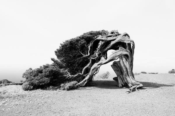 Winds of Change II