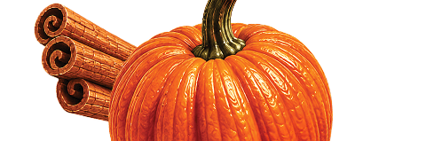 Pumpkin Spice protein coffee