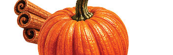 Pumpkin Spice protein coffee