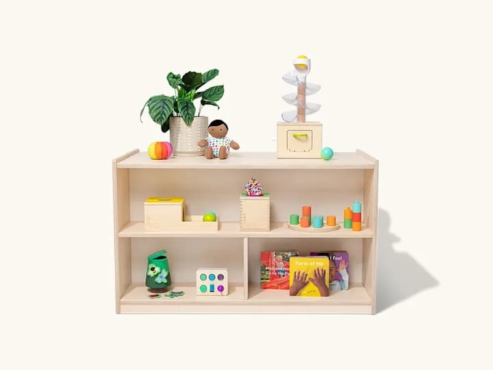 The Montessori Playshelf