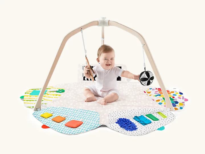 The Play Gym
