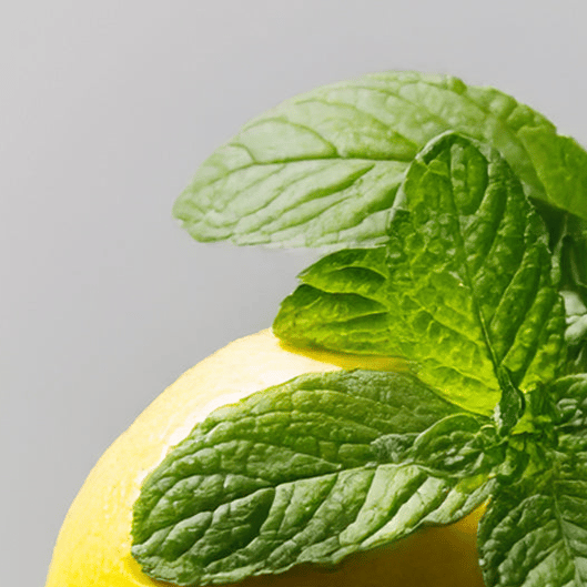 Mint Lemonade