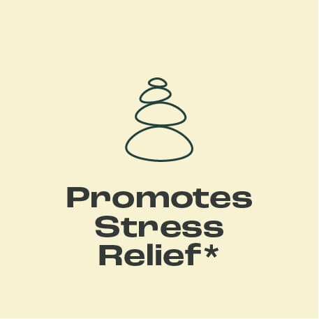 Promotes Stress Relief