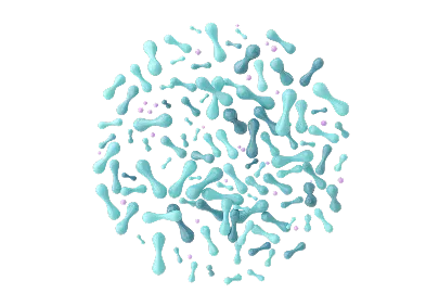 Prebiotics & Fiber